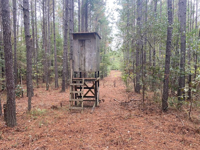 0C926751-6EBF-4FE3-B9E5-763560952008