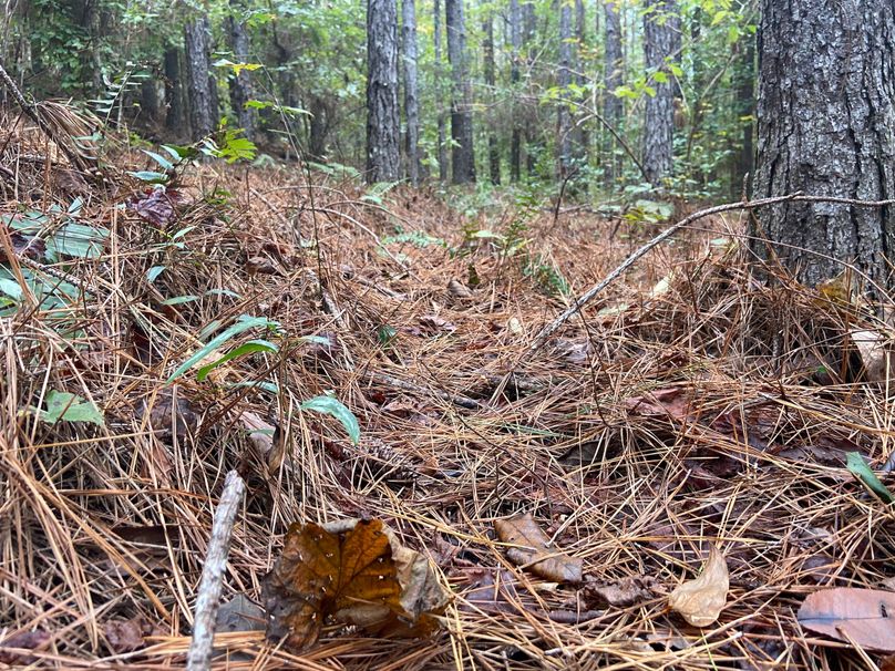 28B31915-8A34-41E6-9BEE-BCFFCFAF8D04