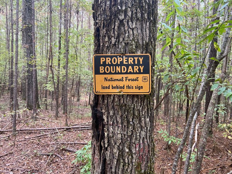 C564673A-A524-40CC-8040-33398DA9C5F6