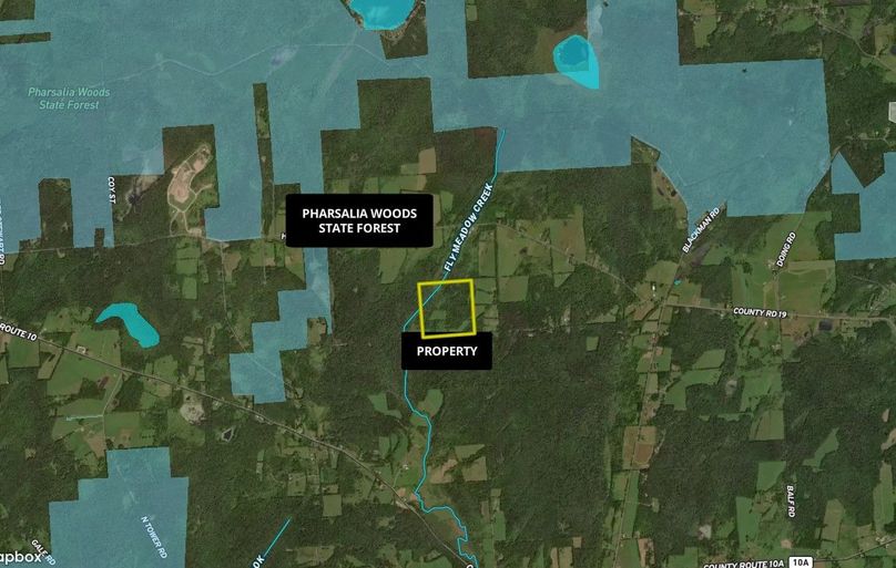 Z Chenango 73.65 Odyssey Wide Area