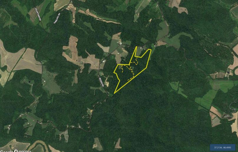 Screen Shot 2021-11-11 at 9.51.38 PM