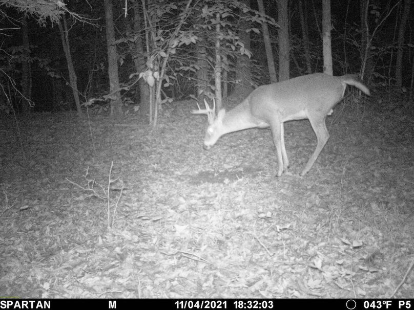 trail cam6