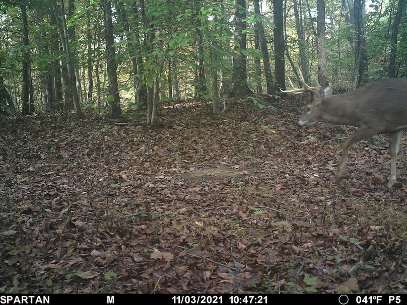 trail cam2
