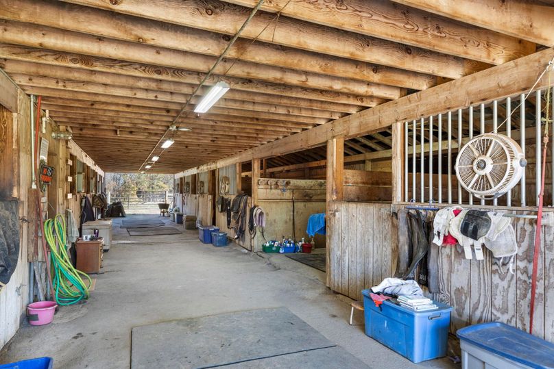 55-web-or-mls-BY1A8604