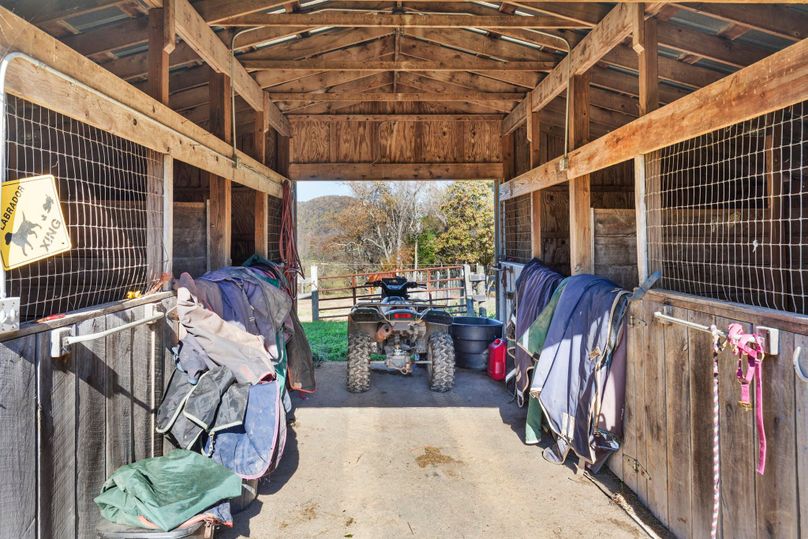 54-web-or-mls-BY1A8601