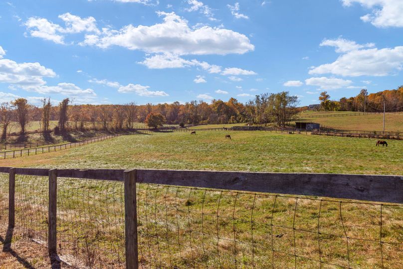 49-web-or-mls-BY1A8591