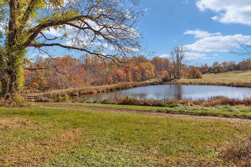 51-web-or-mls-BY1A8593