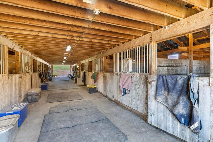 58-web-or-mls-BY1A8614