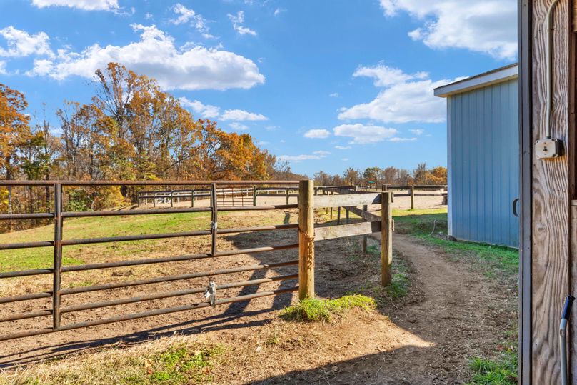 57-web-or-mls-BY1A8611