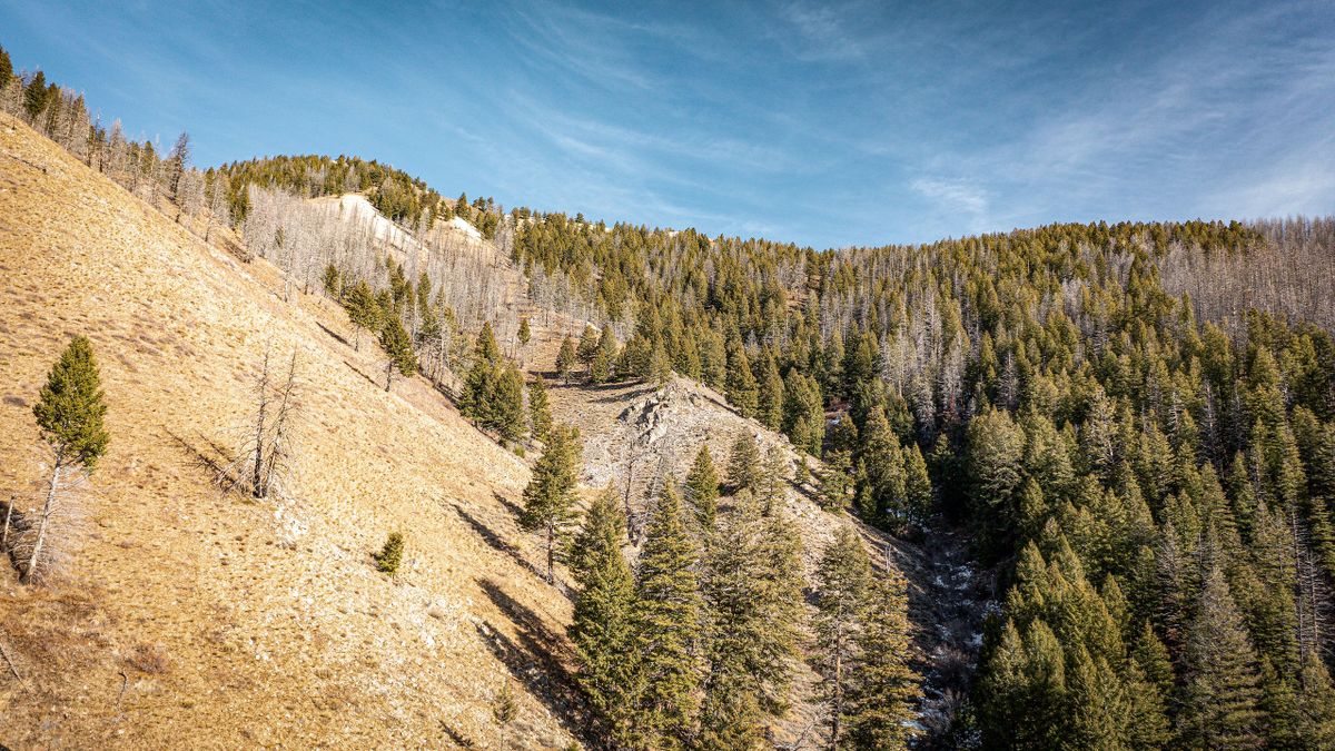 Patented Mining Claim for Sale Near Ketchum Whitetail Properties