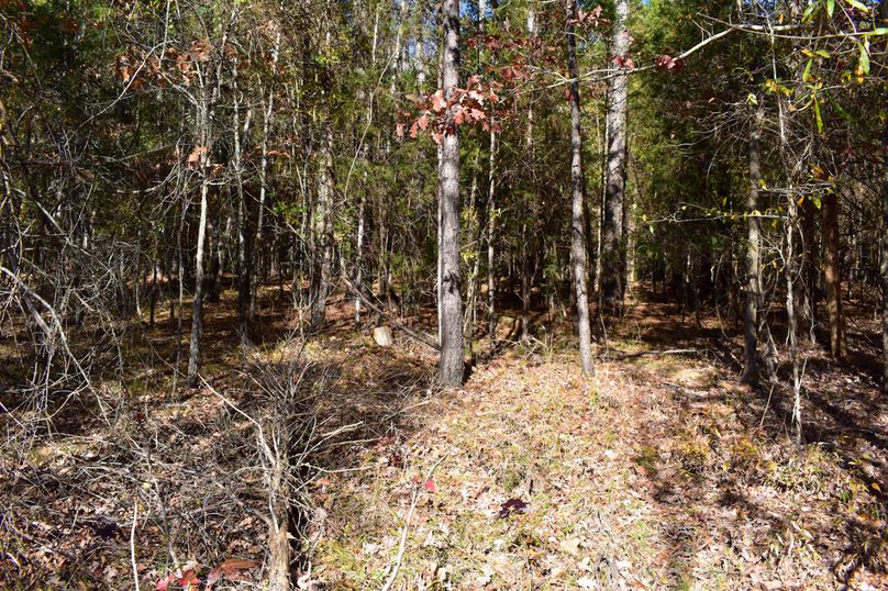 9C84941A-3E5C-42E3-90F0-3172D9B459FB