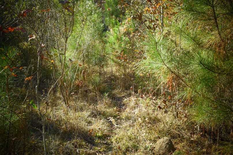 CBC073A7-4CEB-4CE7-A965-89B021732940