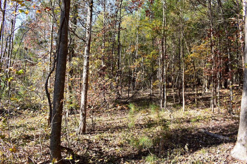 71BAD6F9-FD2A-4140-8FE4-AF37A36D07C0