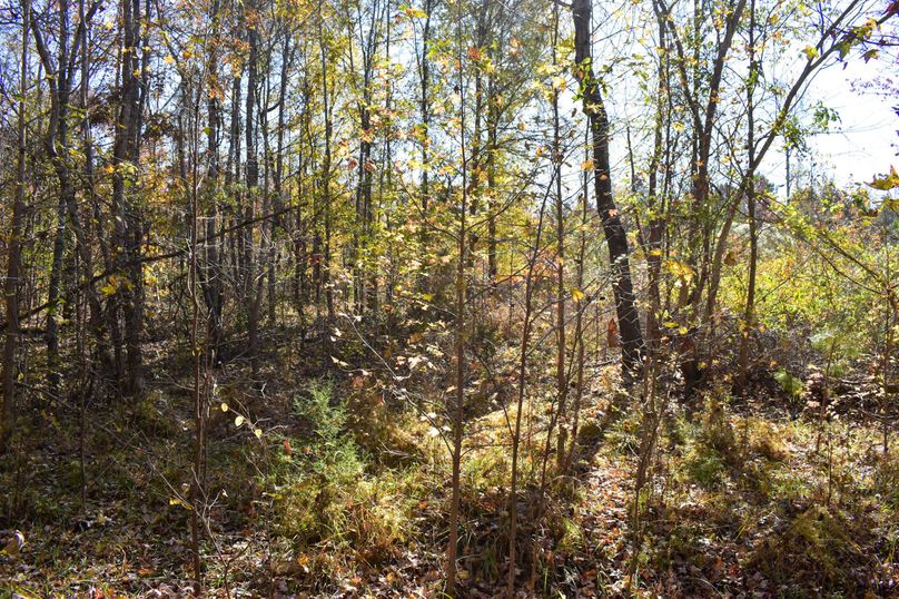 9DA7A08A-4D50-4BF9-B958-74D346E4712B