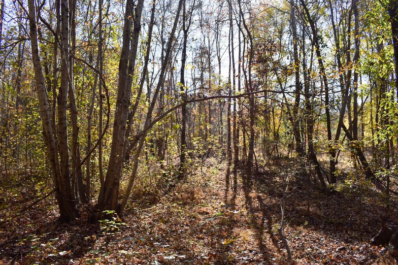 7F1CDF32-F2B7-4BDE-ABCD-C8445122EAA0