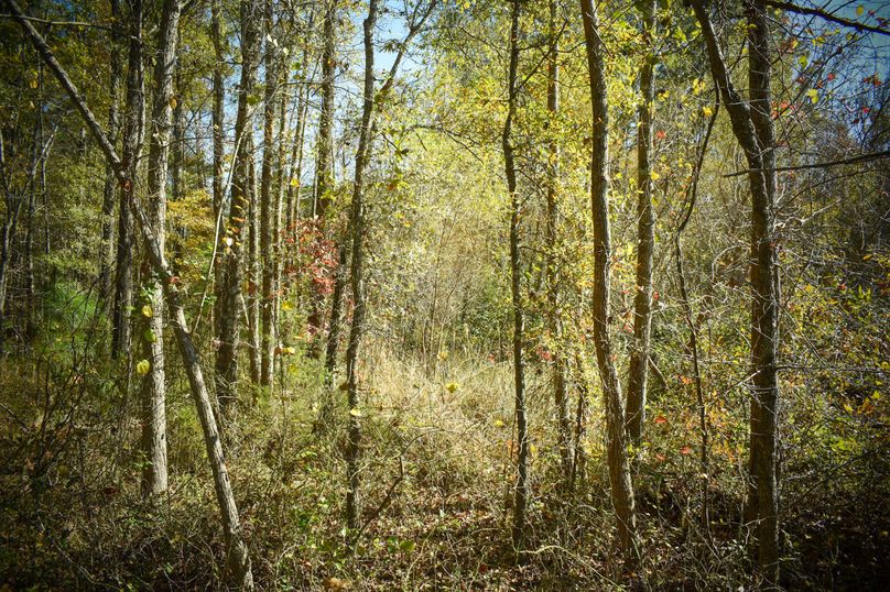 A3FF82FA-AD38-45E1-85FE-889727E656F4