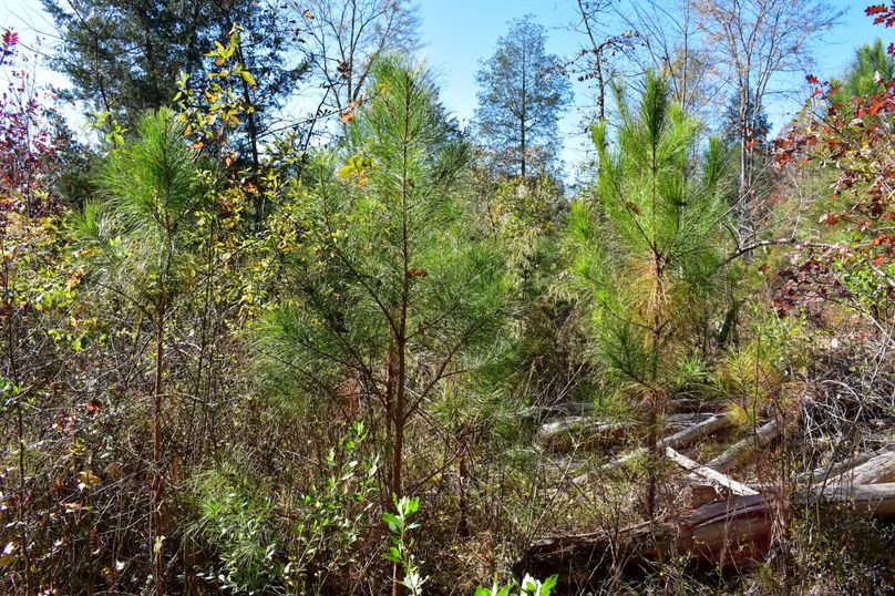 F9E6939D-A21F-419A-B7B1-43BBDEC956FA