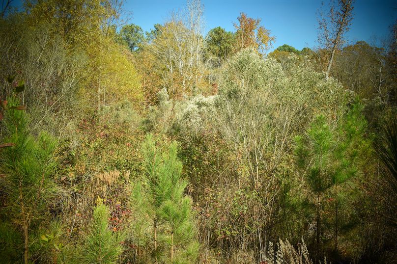 0438A7CD-0597-408C-8A2A-95EF238F3E39