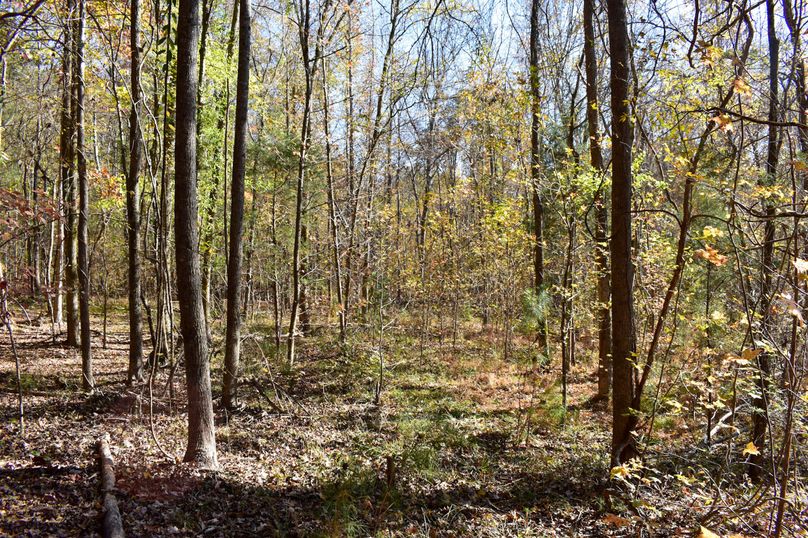 0BECB1E5-BD9D-4F97-B756-9F836352DD09