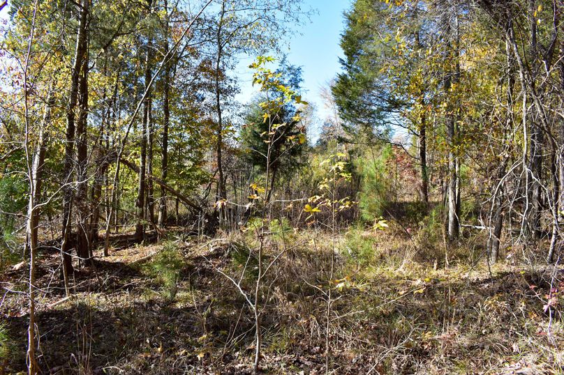 9372E00B-8BF9-4230-BD04-8E98CAF4B1DE