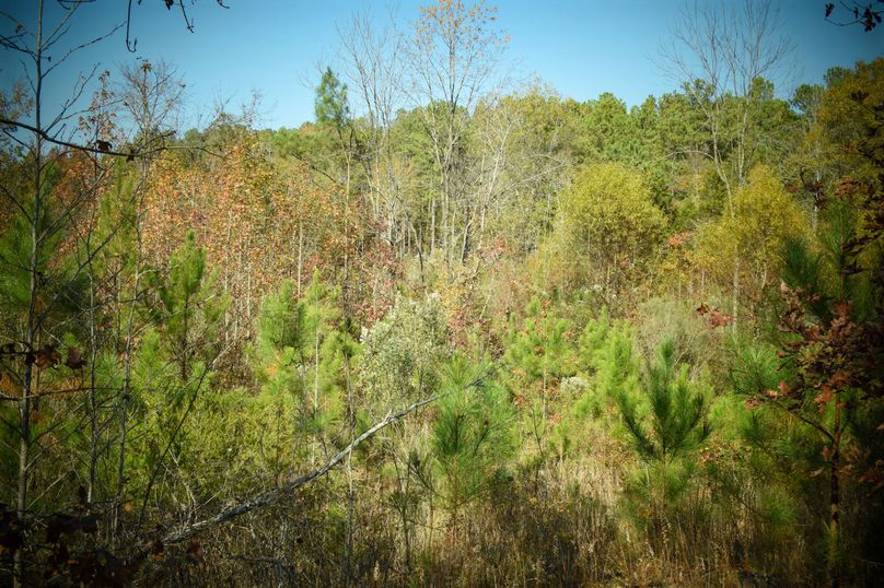 18D7B10C-171A-48F9-AF05-579DB25E0FF3