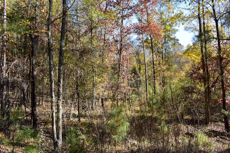 810E7FAA-788E-4C00-84A5-4A3D0353E83D