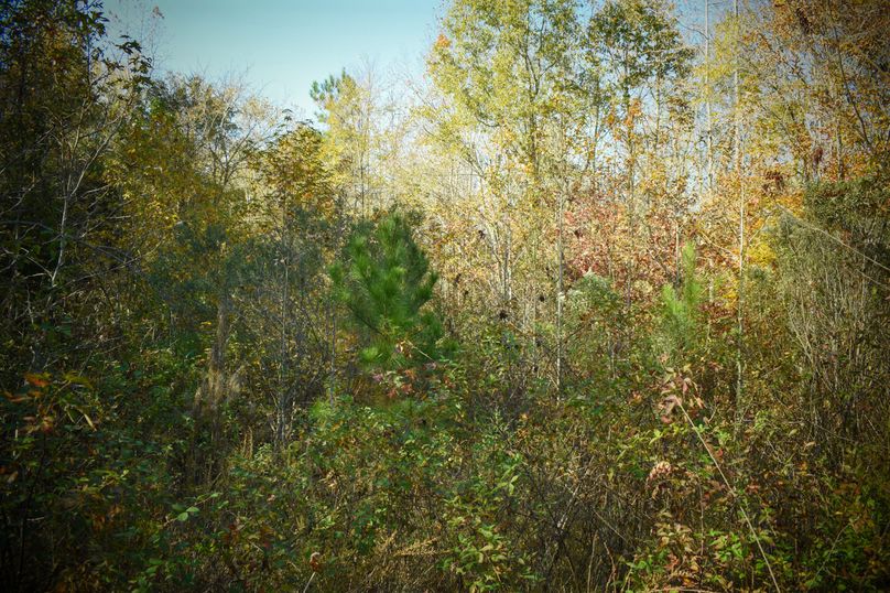 223F13DC-5191-4C93-89A8-8C7FCE23CB45