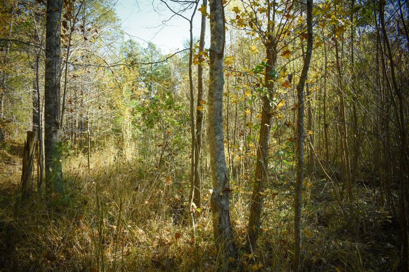 BF1B1F55-B444-4F65-BCDB-C761A3561470