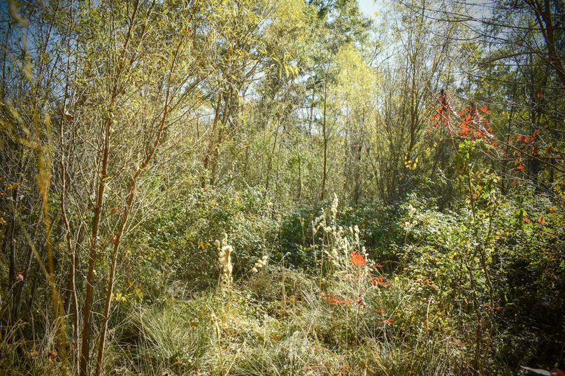 1E3F78C1-155C-4440-A529-B4599A59F460