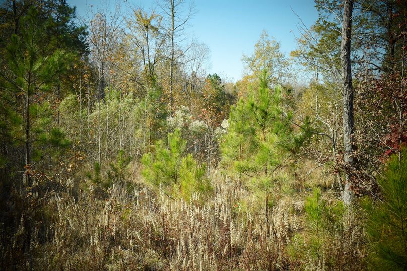 4B6428DA-7F6A-41BE-97B3-B9BC4B03E4E9