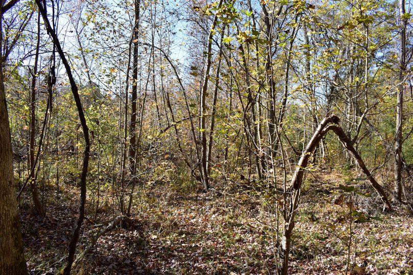 A08655E1-0F92-4FAB-BA6D-CC5252B53C42