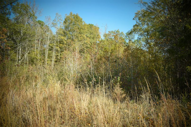 CAAFAA1C-E828-42C2-892F-A2559548F626