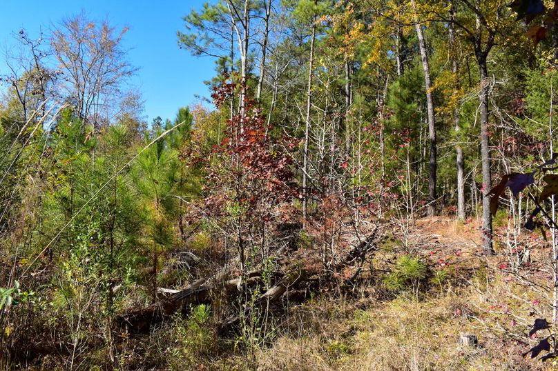 2EC10A83-15A0-41B5-ADBA-864A25B7FA3A