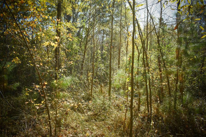 9387CB24-6A8C-4E62-8803-FA4E72FCDB33