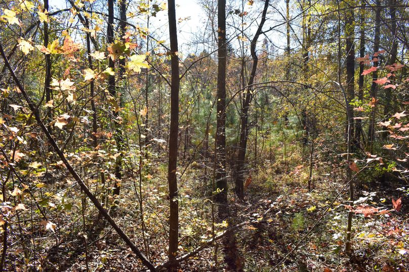 8328548A-283D-4D13-AEE4-C1AED7566AED