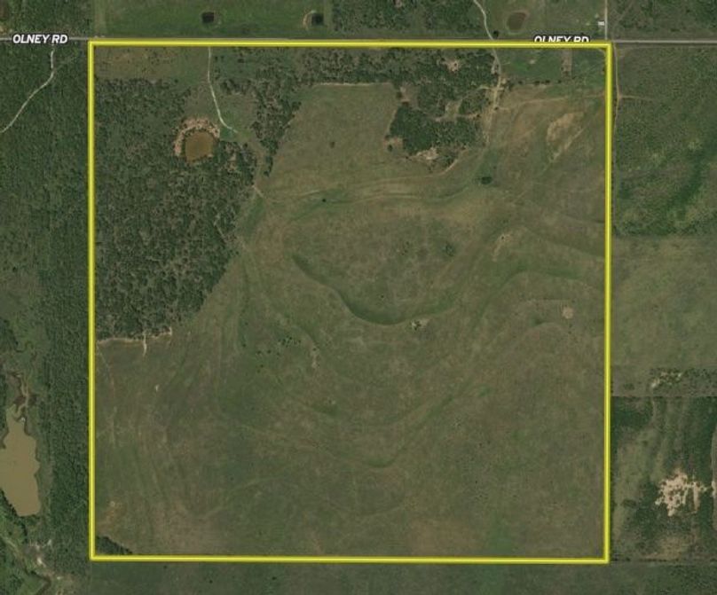 Screen Shot 2021-11-29 at 10.08.51 AM copy