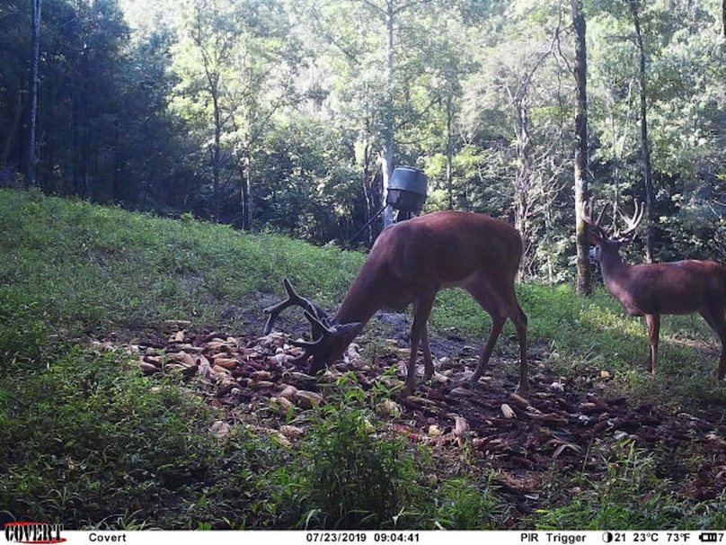 trail cam9