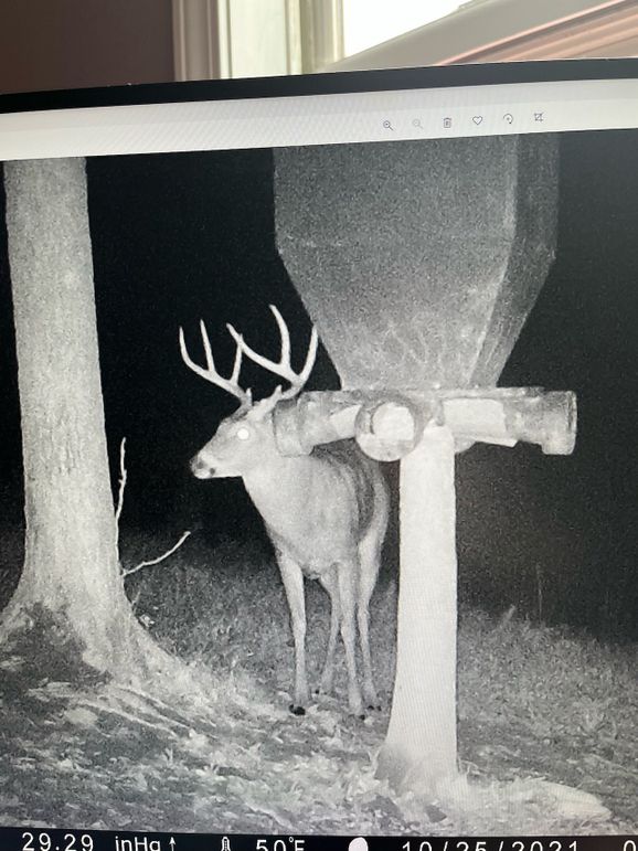 trail cam6