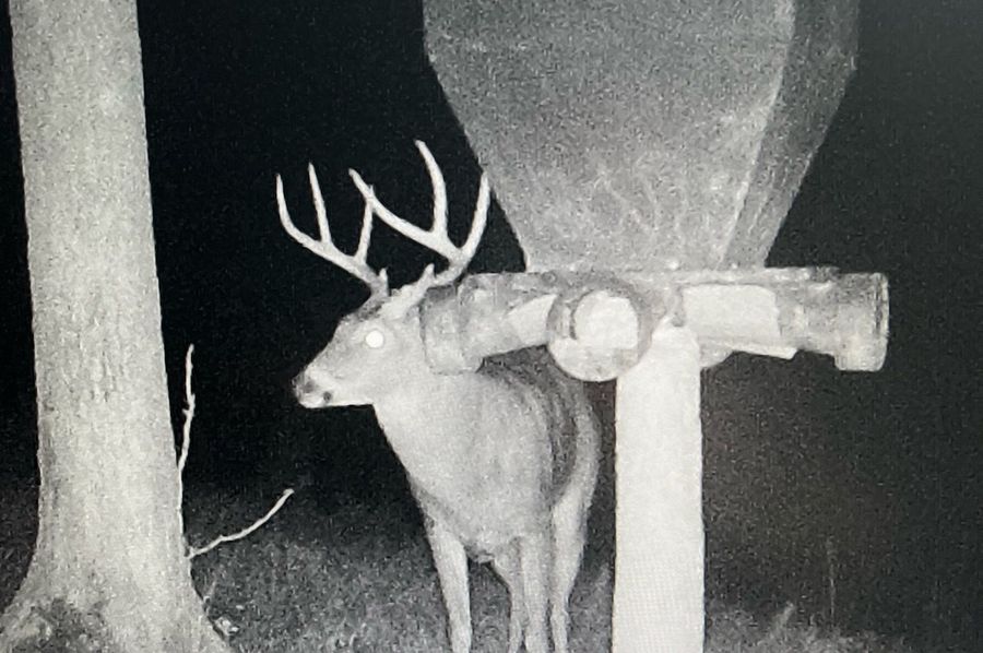 trail cam6