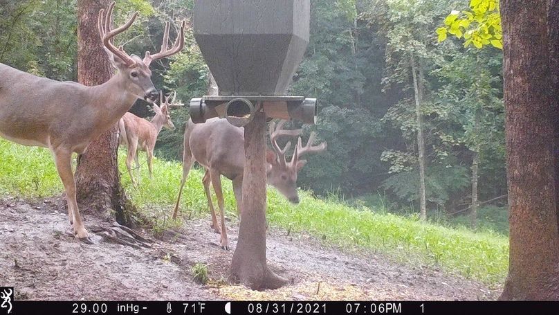 trail cam3