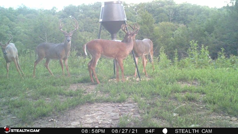 trail cam2