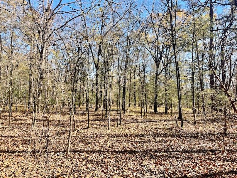 Beautiful HWY Frontage Near Nimrod Lake Whitetail Properties