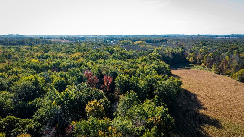 Wayne_72.38_Seibel_Photos_69