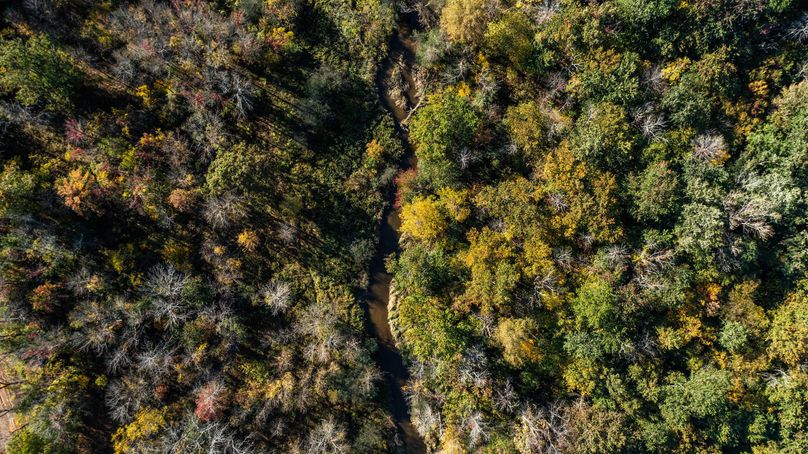 Wayne_72.38_Seibel_Photos_56