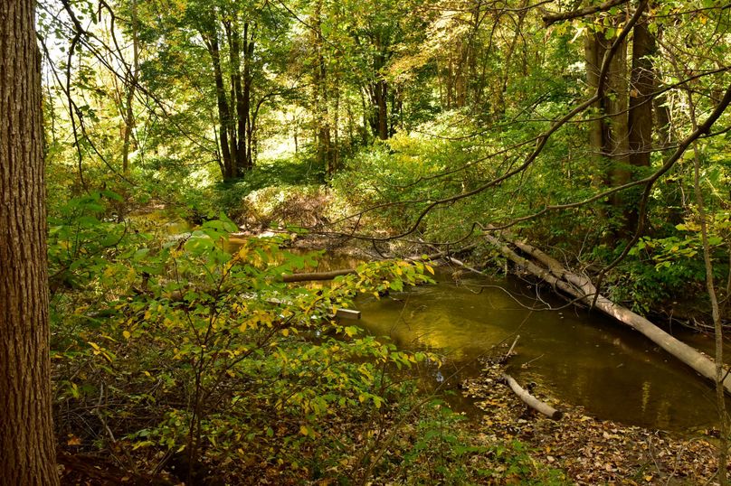 Wayne_72.38_Seibel_Photos_66