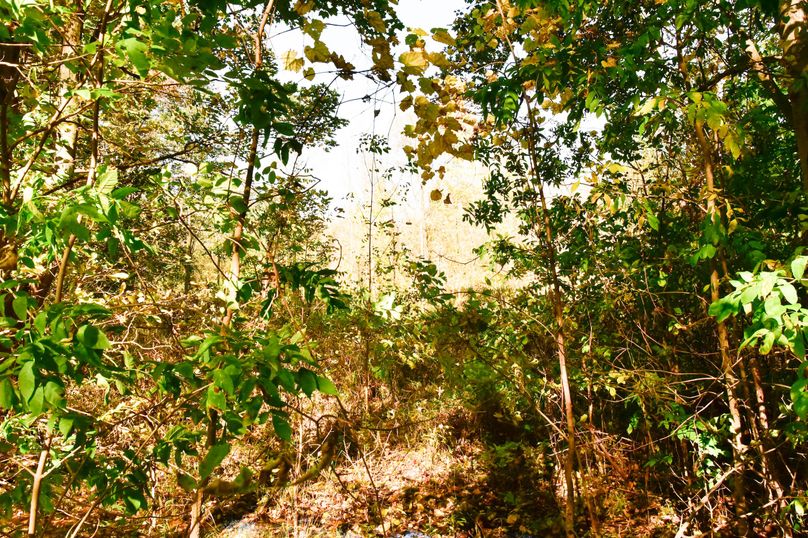 Wayne_72.38_Seibel_Photos_93