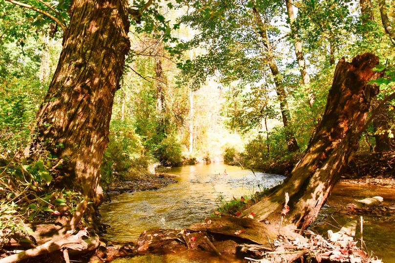 Wayne_72.38_Seibel_Photos_63