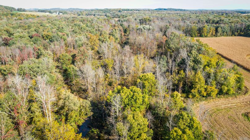 Wayne_72.38_Seibel_Photos_96