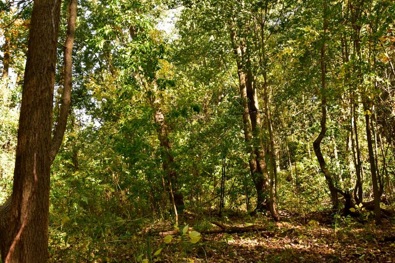 Wayne_72.38_Seibel_Photos_92