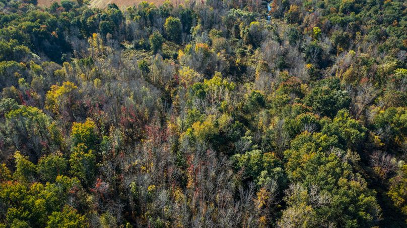 Wayne_72.38_Seibel_Photos_70